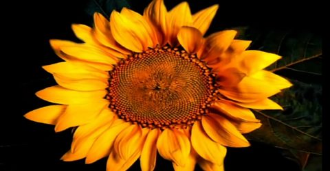 WhatsApp Image 2022-02-26 at 19.44.13 (3)