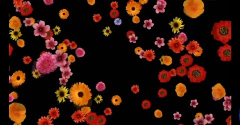 WhatsApp-Image-2022-02-26-at-23.32.18-1