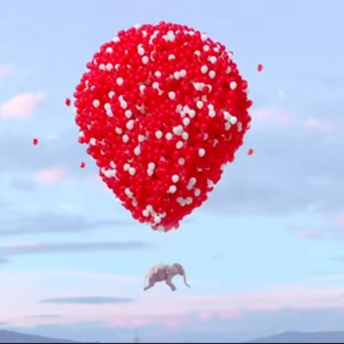 WhatsApp Image 2022-02-26 at 19.44.16